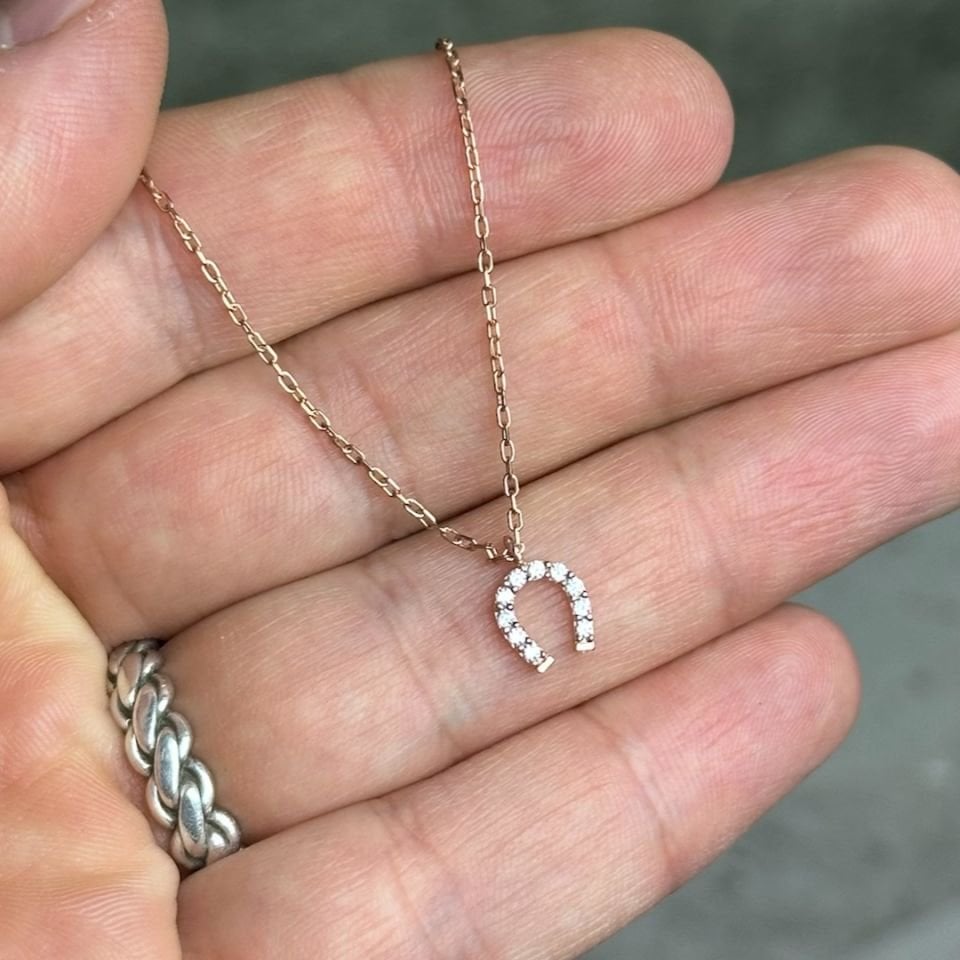 At Nalı Rose Kaplama 925 Ayar Gümüş Şans Kolyesi